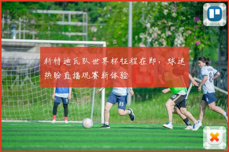 科特迪瓦队世界杯征程在即,球迷热盼直播观赛新体验