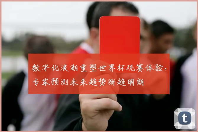 数字化浪潮重塑世界杯观赛体验，专家预测未来趋势渐趋明朗